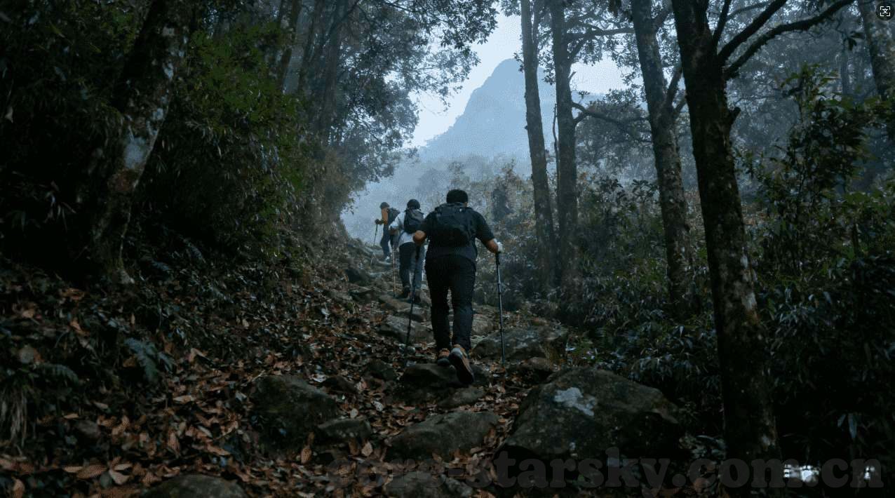 世界杯投注在哪里买-世界杯投注，安全、便捷的选择与体验